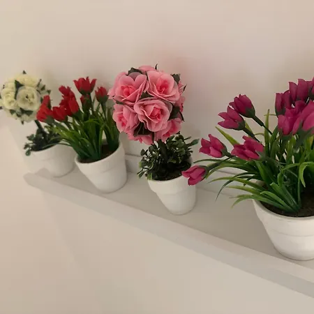 Il Rifugio Dei Sogni